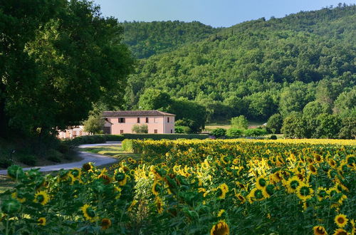 Foto 74 - Agriturismo Il Corniolo