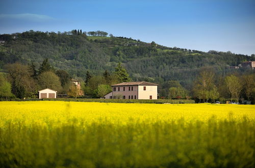 Foto 42 - Agriturismo Il Corniolo