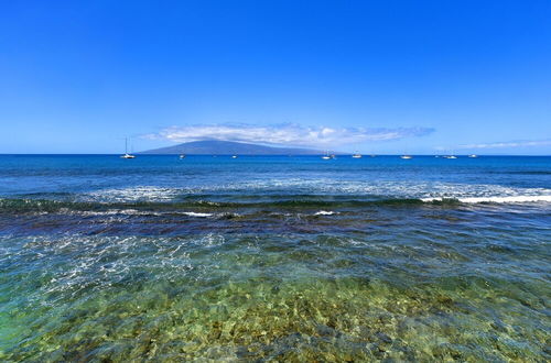 Photo 40 - Lahaina Roads #205 1 Bedroom Condo by Redawning