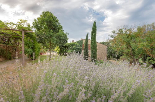 Photo 54 - Apartment in Chianti With Pool ID 450