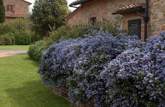 Photo 1 - Country House in Chianti With Pool ID 31