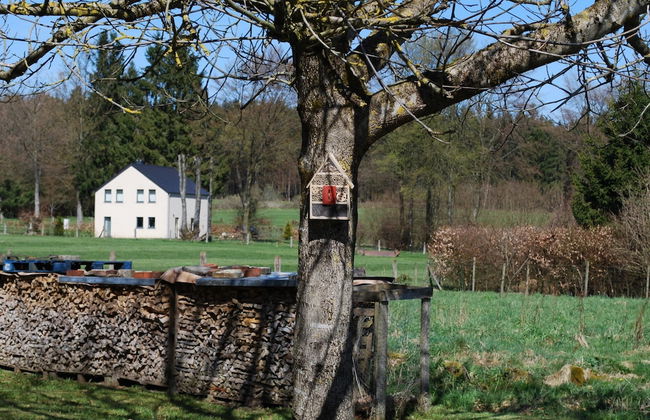 Large Holiday Home in Waimes With a Garden - Foto 26