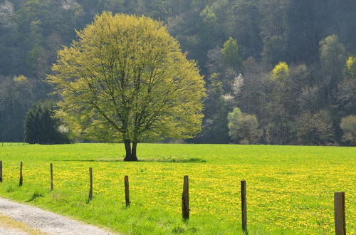 Photo 33 - Cozy Holiday Home near Forest in Bovigny