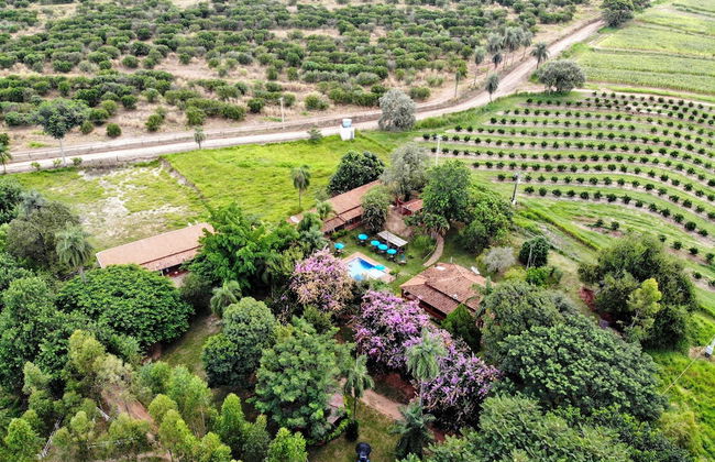 Fazenda Pousada das Palmeiras - Foto 1