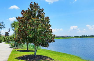 Photo 3 - Penthouse w/ Spectacular Lakeview! Near Disney