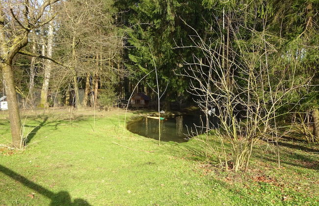 Rehalp - Foto 14