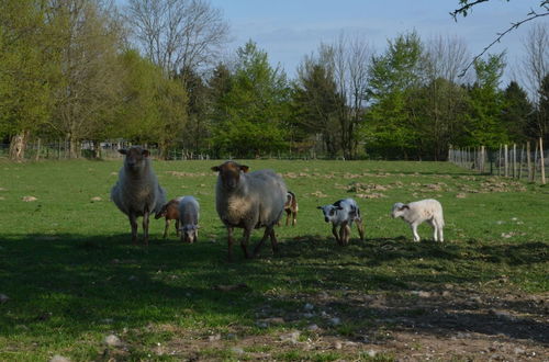 Photo 39 - With a Broad View Over the Hilly Landscape