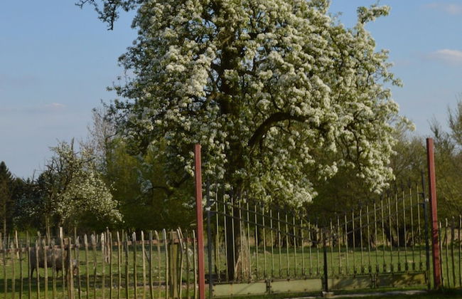 Comfortable Home With Sauna - Foto 55