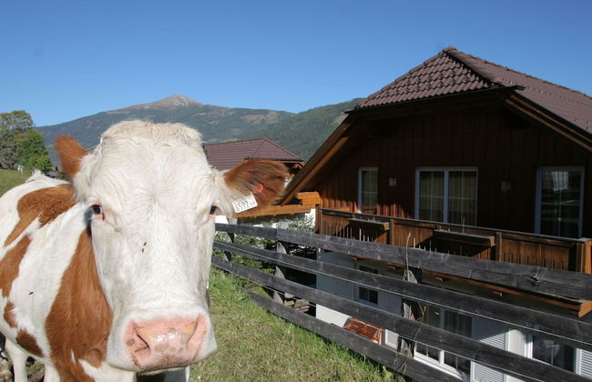 Lovely Chalet in Sankt Margarethen im Lungau near Ski Lift - Foto 15
