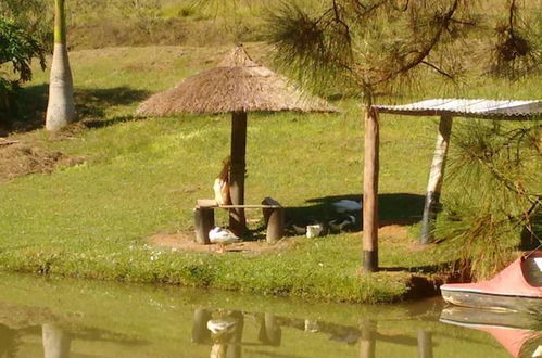 Photo 26 - Hotel Fazenda Bandeirantes