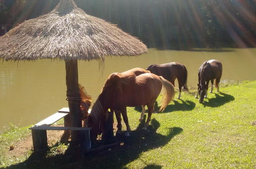 Photo 30 - Hotel Fazenda Bandeirantes