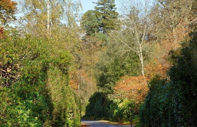 Finnich Cottages - Foto 46