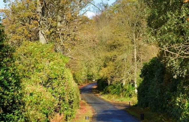 Finnich Cottages - Foto 48