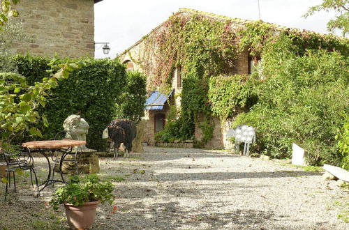 Foto 49 - Fattoria Lischeto