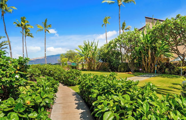 Maui Schooner Resort - Foto 54