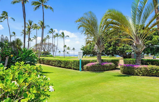 Maui Schooner Resort - Foto 47
