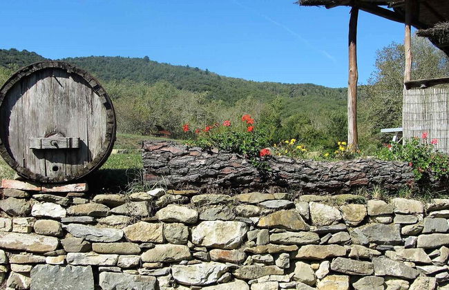 Granaio in Chianti - Foto 12