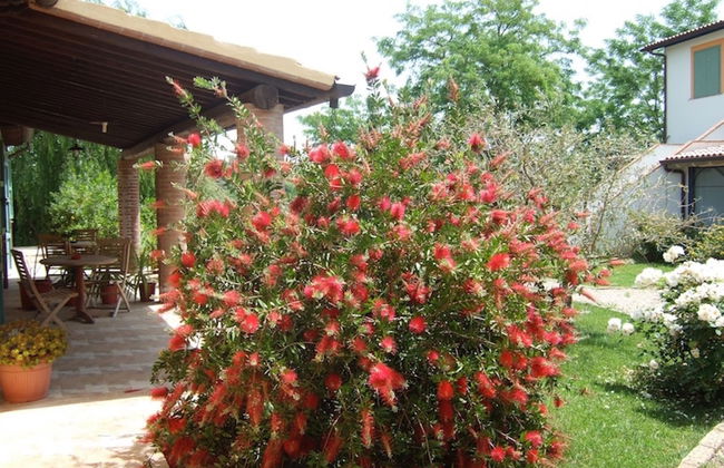 Agriturismo Quarto Podere - Foto 23