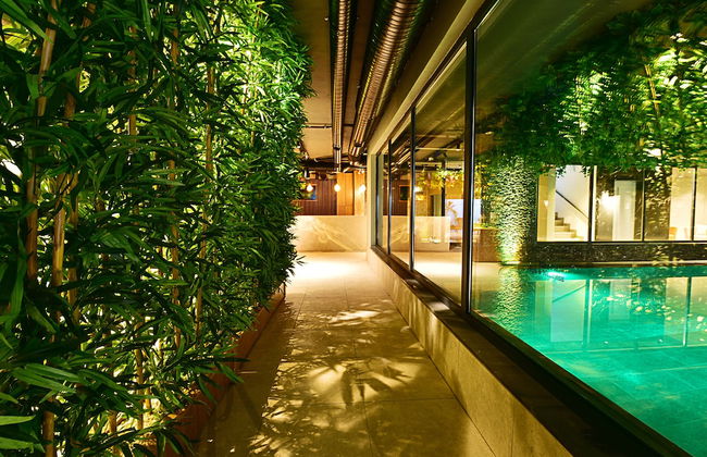 Jasmin Elite Residence & SPA - Foto 53