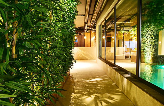 Jasmin Elite Residence & SPA - Foto 75