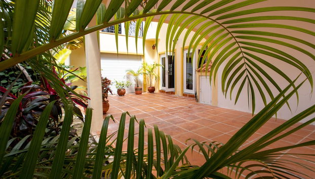 Terraço/pátio interior