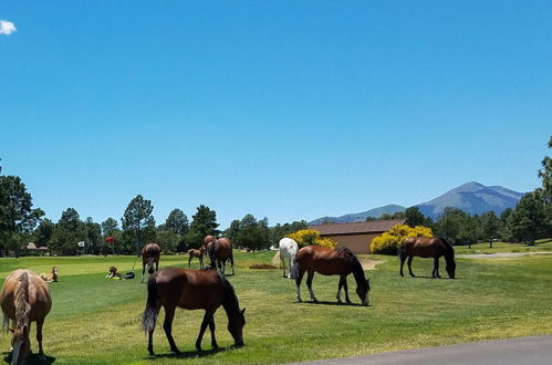 Foto 18 - Ruidoso Pines