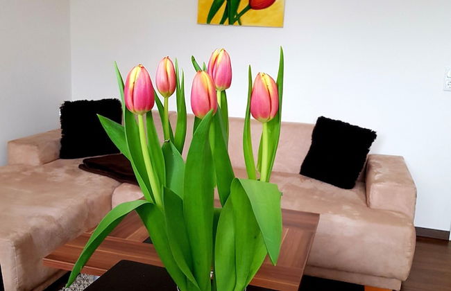Apartment on the Elbe Ferry - Apartment for 2 - 3 People - Foto 1