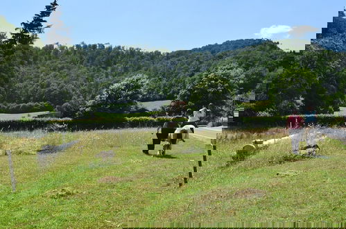Photo 34 - Farm Situated Next to the Kellerwaldnational Park