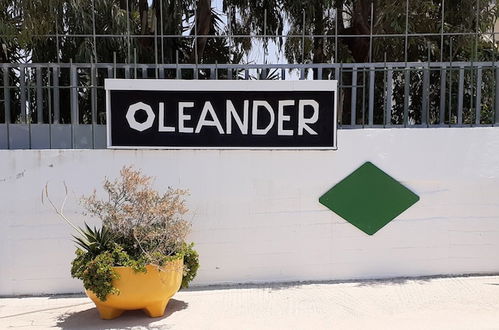 Photo 33 - Oleander Studios