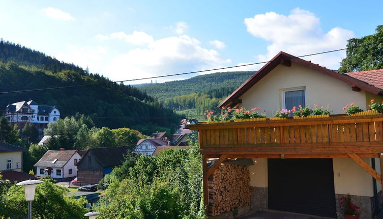 Foto 1 - Meadow View Cottage in Winterstein Thuringia near Ski Area