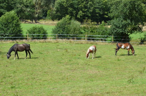 Photo 10 - Ferienhaus Romantikmühle Heartlandranch