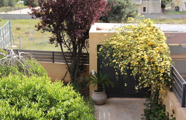Lida Garden - Foto 54