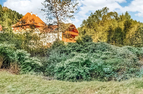 Photo 26 - Cosy Apartment in the Middle of the Thuringian Forest With Separate Entrance and Balcony