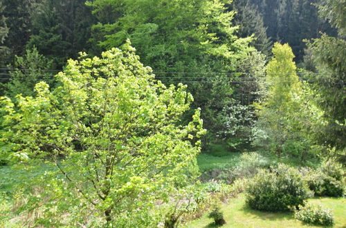 Foto 27 - Apartment Thuringian Forest With Balcony