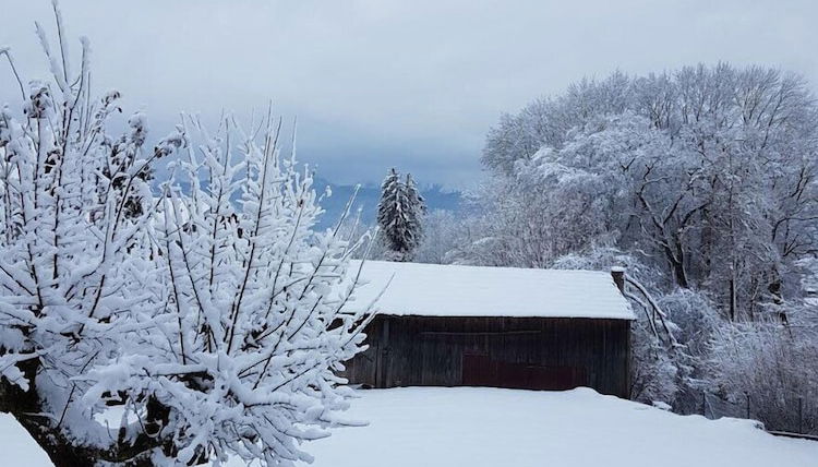 Foto 1 - Zweite Heimat