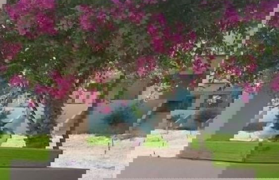 Xanthippi Hotel Apartments - Foto 45