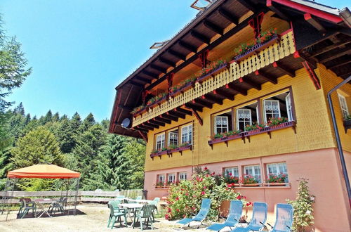 Photo 31 - Holiday Home in the Black Forest With Terrace