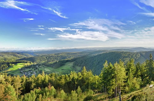 Foto 36 - Holiday Home in the Black Forest With Terrace