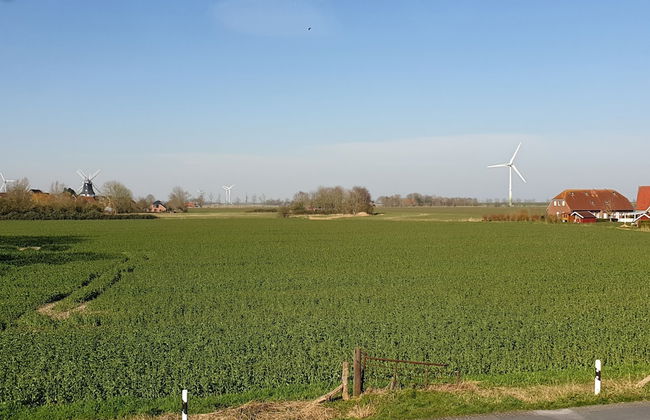 Ferienwohnungen Blischke - Foto 52