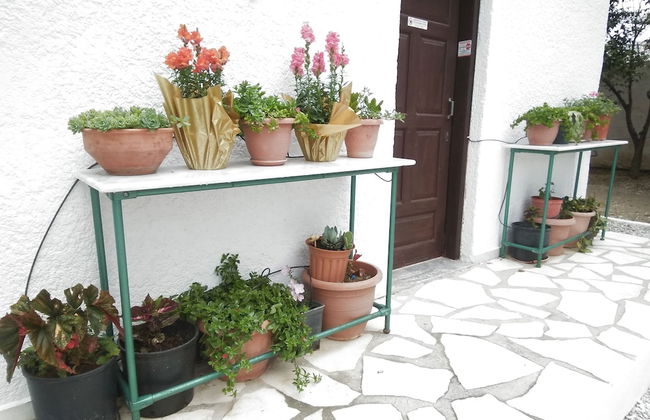 Apartments With Garden View Creta Ierapetra - Foto 10
