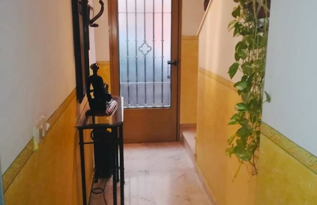 House Global 11 - Foto 2
