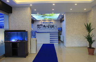 Photo 2 - Blue Life Suites