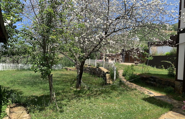 Şamlıoğlu Historical Mansion - Foto 14