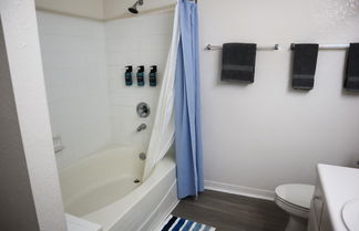 Photo 3 - Upgraded 2 bed apt Close to Beaches and Mayo Clinic