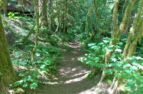 Photo 4 - Mt Baker Lodging Cabin 98 - Sleeps 6