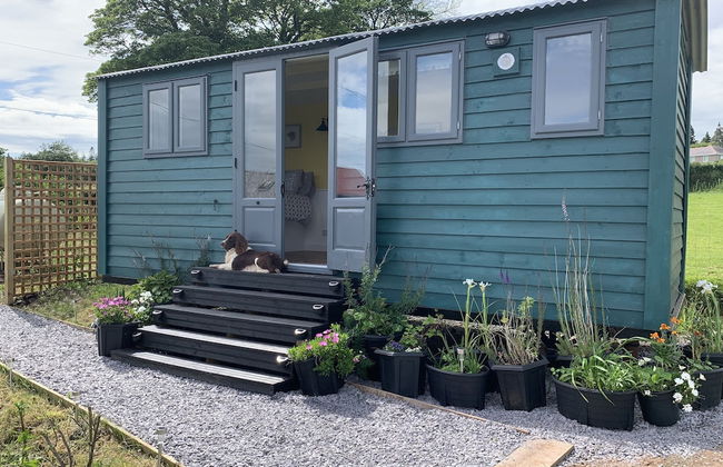 Shepherds Hut With Hot Tub, North Wales, Anglesey - Foto 20