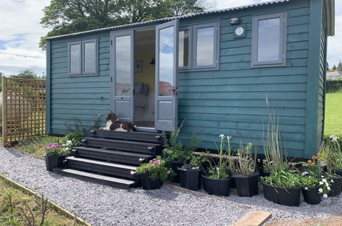 Foto 14 - Shepherds Hut on Angelsey, With Hot T