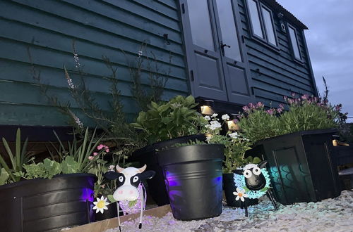 Photo 30 - Shepherds Hut With Hot Tub, North Wales, Angelsey