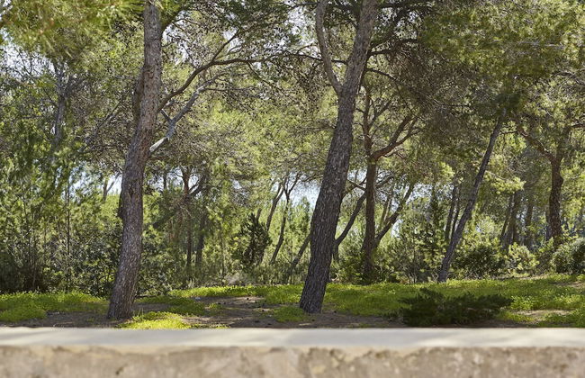 Villa Es Raig Ibiza - Foto 38