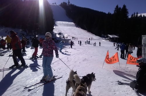 Foto 16 - Ski Chalets at Pamporovo - an Affordable Village Holiday for Families or Groups